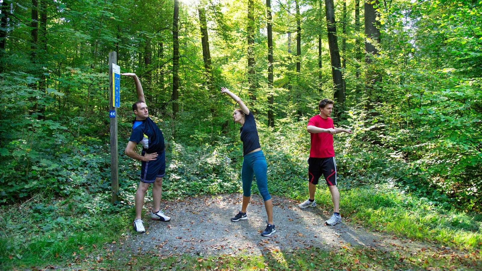 Vita Parcours Baregg - Sport & Freizeit in Baden